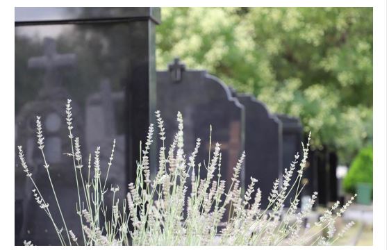 Sveštenik objasnio kako se pravilno računa 40 dana pokojniku: Otac Milan otkrio greške koje svi pravimo, a ovo pravilo mora da se poštuje - featured image Sveštenik objasnio kako se pravilno računa 40 dana pokojniku: Otac Milan otkrio greške koje svi pravimo, a ovo pravilo mora da se poštuje - featured image