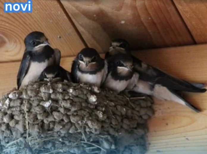 Screenshot-2025-09-08-105931-696x520