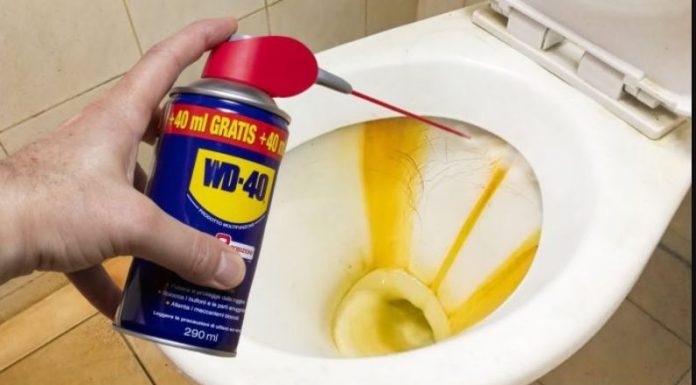 Imate li WD-40 u svojoj radionici? Ima UPOTREBE za koje većina ljudi ne zna! Imate li WD-40 u svojoj radionici? Ima UPOTREBE za koje većina ljudi ne zna! - featured image