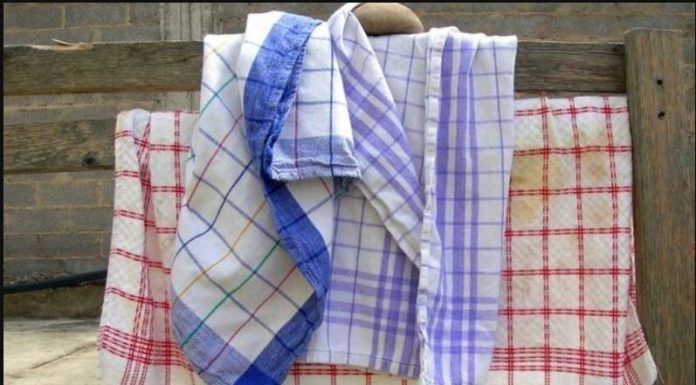 Uklonite masne mrlje i izbijelite kuhinjske krpe: UBACITE OVO U MAŠINU I BLISTAT ĆE KAO NOVE Uklonite masne mrlje i izbijelite kuhinjske krpe: UBACITE OVO U MAŠINU I BLISTAT ĆE KAO NOVE - featured image