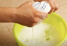 STAVITE KAP OVE TEČNOSTI U VODU I PREBRIŠITE KUĆU: 10 dana nećete videti prašinu – TRIK KOJI SE KORISTI U MUZEJU STAVITE KAP OVE TEČNOSTI U VODU I PREBRIŠITE KUĆU: 10 dana nećete videti prašinu – TRIK KOJI SE KORISTI U MUZEJU - featured image