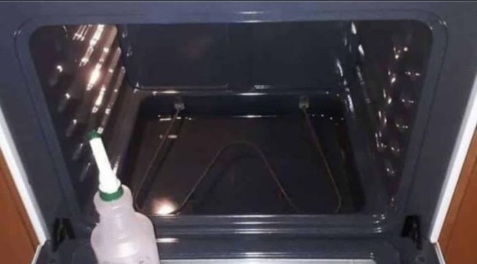 Novi način čišćenja pećnice osvaja internet: Čisto i savršeno odmašćeno bez posla – OD SADA ĆU ČISTITI SAMO NA OVAJ NAČIN! Novi način čišćenja pećnice osvaja internet: Čisto i savršeno odmašćeno bez posla – OD SADA ĆU ČISTITI SAMO NA OVAJ NAČIN! - featured image