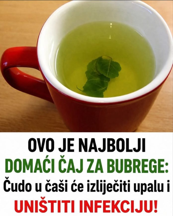 Evo kako da izbacite šlajm iz grla, pluća i sinusa: Za pušače i bolesne - featured image Evo kako da izbacite šlajm iz grla, pluća i sinusa: Za pušače i bolesne - featured image