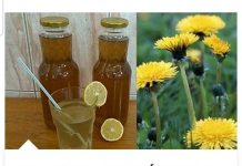 RECEPT ZA DOMAĆI SIRUP OD MASLAČKA: Ljekovita superhrana za koju ne morate izdvojiti ni eura… RECEPT ZA DOMAĆI SIRUP OD MASLAČKA: Ljekovita superhrana za koju ne morate izdvojiti ni eura… - featured image