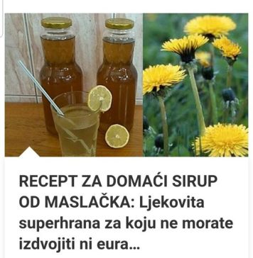 RECEPT ZA DOMAĆI SIRUP OD MASLAČKA: Ljekovita superhrana za koju ne morate izdvojiti ni eura… RECEPT ZA DOMAĆI SIRUP OD MASLAČKA: Ljekovita superhrana za koju ne morate izdvojiti ni eura… - featured image