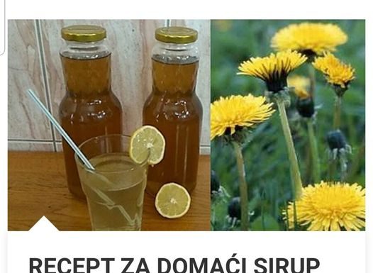 RECEPT ZA DOMAĆI SIRUP OD MASLAČKA: Ljekovita superhrana za koju ne morate izdvojiti ni eura… RECEPT ZA DOMAĆI SIRUP OD MASLAČKA: Ljekovita superhrana za koju ne morate izdvojiti ni eura… - featured image