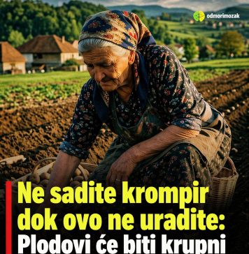 Ne sadite krompir dok ovo ne uradite! Ne sadite krompir dok ovo ne uradite! - featured image