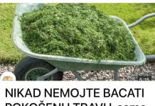 NE BACAJTE POKOŠENU TRAVU: EVO KAKO JU PRETVORITI U SUPER GNOJIVO!