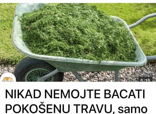 NE BACAJTE POKOŠENU TRAVU: EVO KAKO JU PRETVORITI U SUPER GNOJIVO!