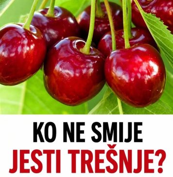 KO NE SMIJE JESTI TREŠNJE? Ako imate ovaj zdravstveni problem, morate ih izbjegavati KO NE SMIJE JESTI TREŠNJE? Ako imate ovaj zdravstveni problem, morate ih izbjegavati - featured image