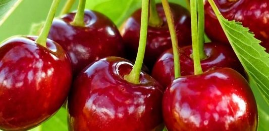 KO NE SMIJE JESTI TREŠNJE? Ako imate ovaj zdravstveni problem, morate ih izbjegavati KO NE SMIJE JESTI TREŠNJE? Ako imate ovaj zdravstveni problem, morate ih izbjegavati - featured image