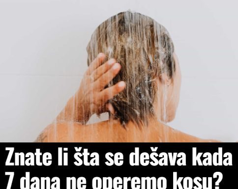 Znate li šta se dešava kada 7 dana ne operemo kosu? Rezultat zaprepastio mnoge Znate li šta se dešava kada 7 dana ne operemo kosu? Rezultat zaprepastio mnoge - featured image