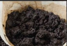 ZAŠTO JE TALOG KAFE PRAVO BLAGO! DVA NEVJEROVATNA NAČINA UPOTREBE! ZAŠTO JE TALOG KAFE PRAVO BLAGO! DVA NEVJEROVATNA NAČINA UPOTREBE! - featured image