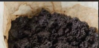 ZAŠTO JE TALOG KAFE PRAVO BLAGO! DVA NEVJEROVATNA NAČINA UPOTREBE! ZAŠTO JE TALOG KAFE PRAVO BLAGO! DVA NEVJEROVATNA NAČINA UPOTREBE! - featured image