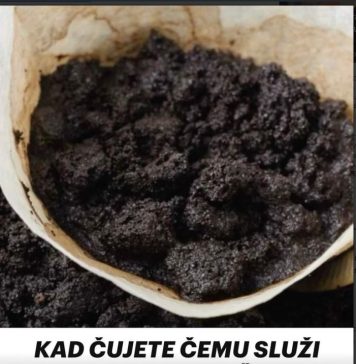 ZAŠTO JE TALOG KAFE PRAVO BLAGO! DVA NEVJEROVATNA NAČINA UPOTREBE! ZAŠTO JE TALOG KAFE PRAVO BLAGO! DVA NEVJEROVATNA NAČINA UPOTREBE! - featured image