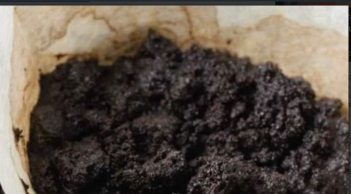 ZAŠTO JE TALOG KAFE PRAVO BLAGO! DVA NEVJEROVATNA NAČINA UPOTREBE! ZAŠTO JE TALOG KAFE PRAVO BLAGO! DVA NEVJEROVATNA NAČINA UPOTREBE! - featured image