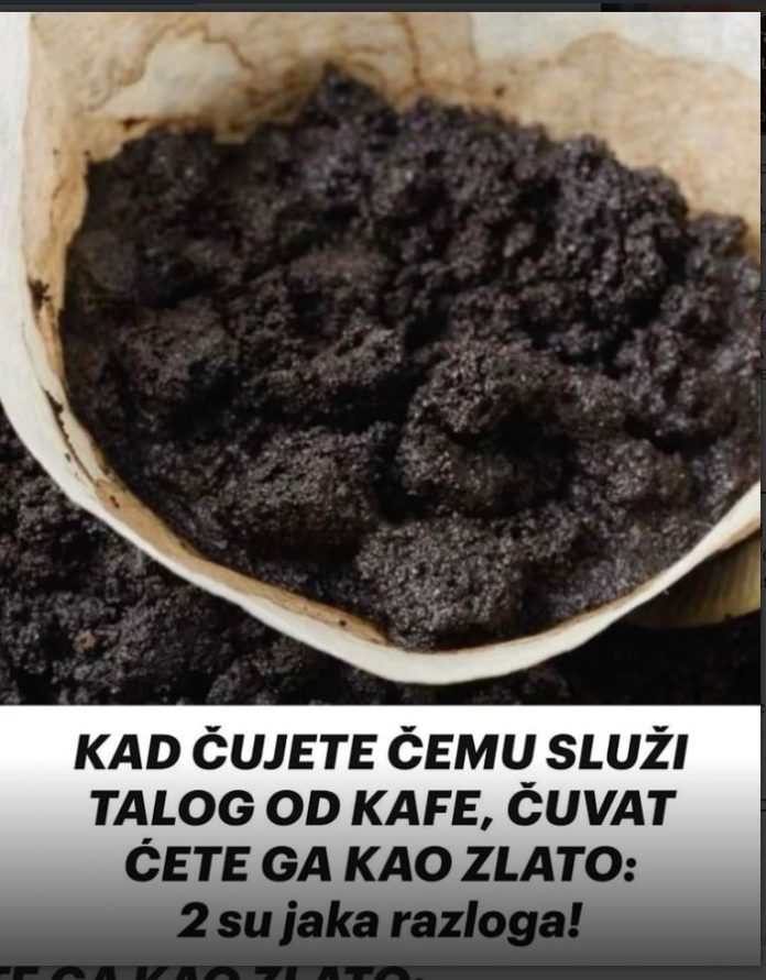 ZAŠTO JE TALOG KAFE PRAVO BLAGO! DVA NEVJEROVATNA NAČINA UPOTREBE! - featured image ZAŠTO JE TALOG KAFE PRAVO BLAGO! DVA NEVJEROVATNA NAČINA UPOTREBE! - featured image