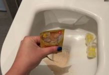 STAVILA SAM KVASAC U WC Š0LJU I SAČEKALA SAT VREMENA: Kad Sam Ušla U WC Nisam Mogla Da Vjerujem STAVILA SAM KVASAC U WC Š0LJU I SAČEKALA SAT VREMENA: Kad Sam Ušla U WC Nisam Mogla Da Vjerujem - featured image