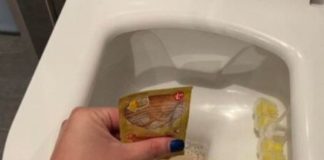 STAVILA SAM KVASAC U WC Š0LJU I SAČEKALA SAT VREMENA: Kad Sam Ušla U WC Nisam Mogla Da Vjerujem STAVILA SAM KVASAC U WC Š0LJU I SAČEKALA SAT VREMENA: Kad Sam Ušla U WC Nisam Mogla Da Vjerujem - featured image