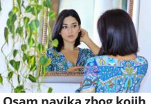Osam navika zbog kojih žene ostaju same, prema psiholozima Osam navika zbog kojih žene ostaju same, prema psiholozima - featured image
