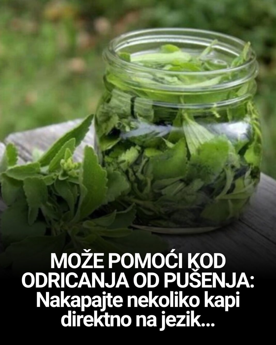 MOŽE POMOĆI KOD ODRICANJA OD PUŠENJA: Nakapajte nekoliko kapi direktno na jezik… - featured image MOŽE POMOĆI KOD ODRICANJA OD PUŠENJA: Nakapajte nekoliko kapi direktno na jezik… - featured image