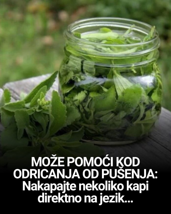 MOŽE POMOĆI KOD ODRICANJA OD PUŠENJA: Nakapajte nekoliko kapi direktno na jezik… - featured image MOŽE POMOĆI KOD ODRICANJA OD PUŠENJA: Nakapajte nekoliko kapi direktno na jezik… - featured image