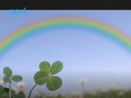 0vim 3 horoskopskim znakovima za vikend stižu dobre vijesti! 0vim 3 horoskopskim znakovima za vikend stižu dobre vijesti! - featured image