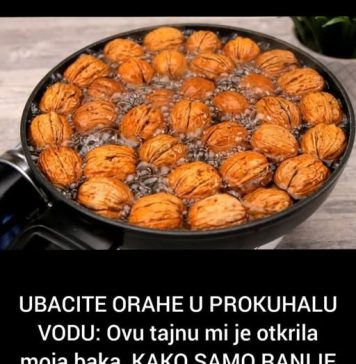 UBACITE ORAHE U PROKUHALU VODU: Ovu tajnu mi je otkrila moja baka, KAKO SAMO RANIJE NISAM ZNALA UBACITE ORAHE U PROKUHALU VODU: Ovu tajnu mi je otkrila moja baka, KAKO SAMO RANIJE NISAM ZNALA - featured image