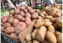 STRUČNJACI OTKRILI DA LI JE BOLJI CRVENI ILI BIJELI KROMPIR: Razlika je velika, a OVAJ je zdraviji STRUČNJACI OTKRILI DA LI JE BOLJI CRVENI ILI BIJELI KROMPIR: Razlika je velika, a OVAJ je zdraviji - featured image