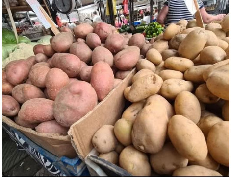 STRUČNJACI OTKRILI DA LI JE BOLJI CRVENI ILI BIJELI KROMPIR: Razlika je velika, a OVAJ je zdraviji STRUČNJACI OTKRILI DA LI JE BOLJI CRVENI ILI BIJELI KROMPIR: Razlika je velika, a OVAJ je zdraviji - featured image