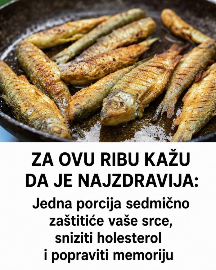 ZA OVU RIBU KAŽU DA JE NAJZDRAVIJA: Jedna porcija sedmično zaštitiće vaše srce, sniziti holesterol i popraviti memoriju - featured image ZA OVU RIBU KAŽU DA JE NAJZDRAVIJA: Jedna porcija sedmično zaštitiće vaše srce, sniziti holesterol i popraviti memoriju - featured image